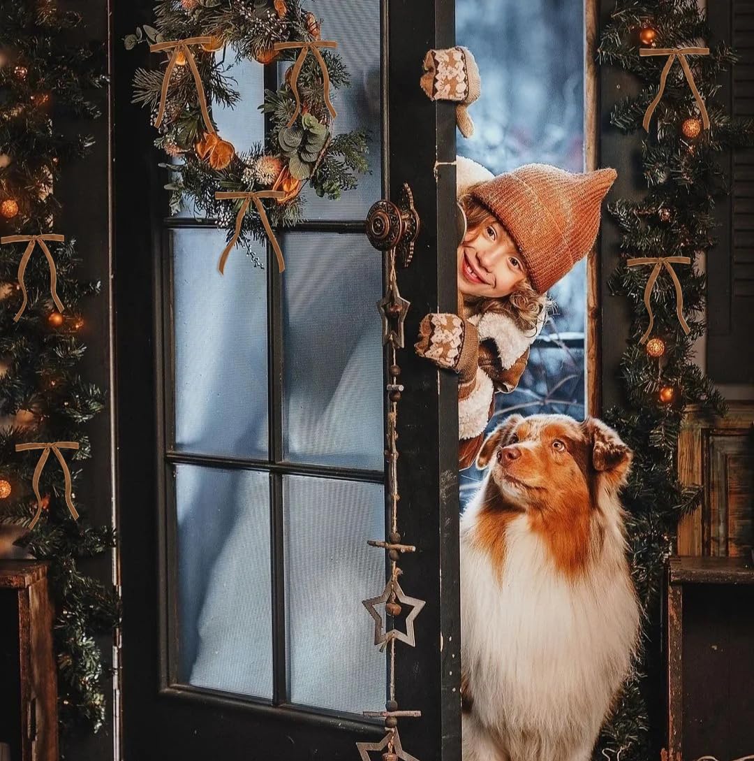 SIMISI RIBBON 24Pcs Fall Christmas Velvet Ribbon Bows Decorations Xmas Ornaments Vintage Decor for Tree, Wreath, Garland (3/8'' Width, 5 * 7 inch)