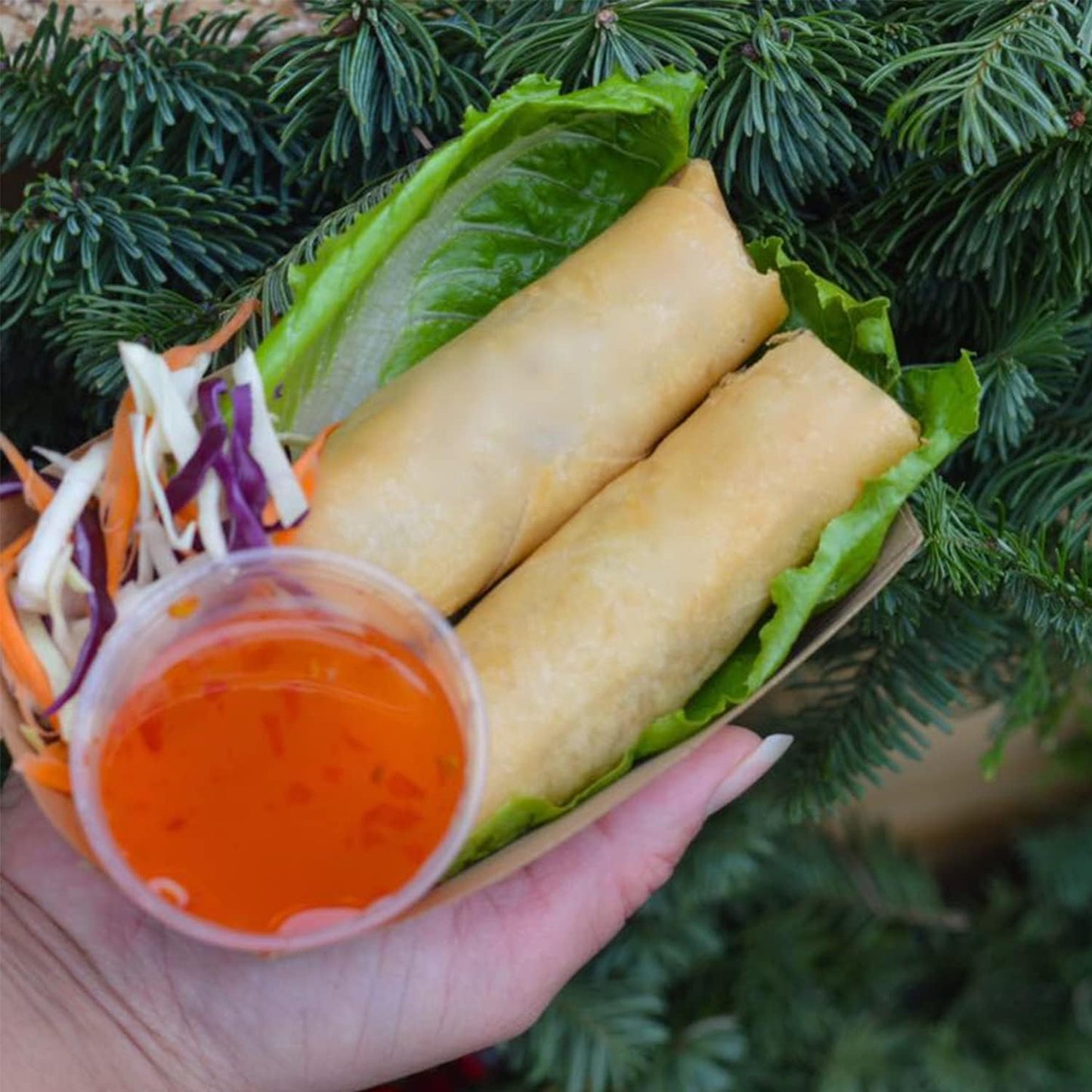 Angel's Peel Lounge Disposable Paper Tray - Recyclable Kraft, Fully Biodegradable Paper Trays- Picnics, Carnivals, Camping Trays- Food Serving Tray Holds Hot and Cold 1Lb (Pack of 100)