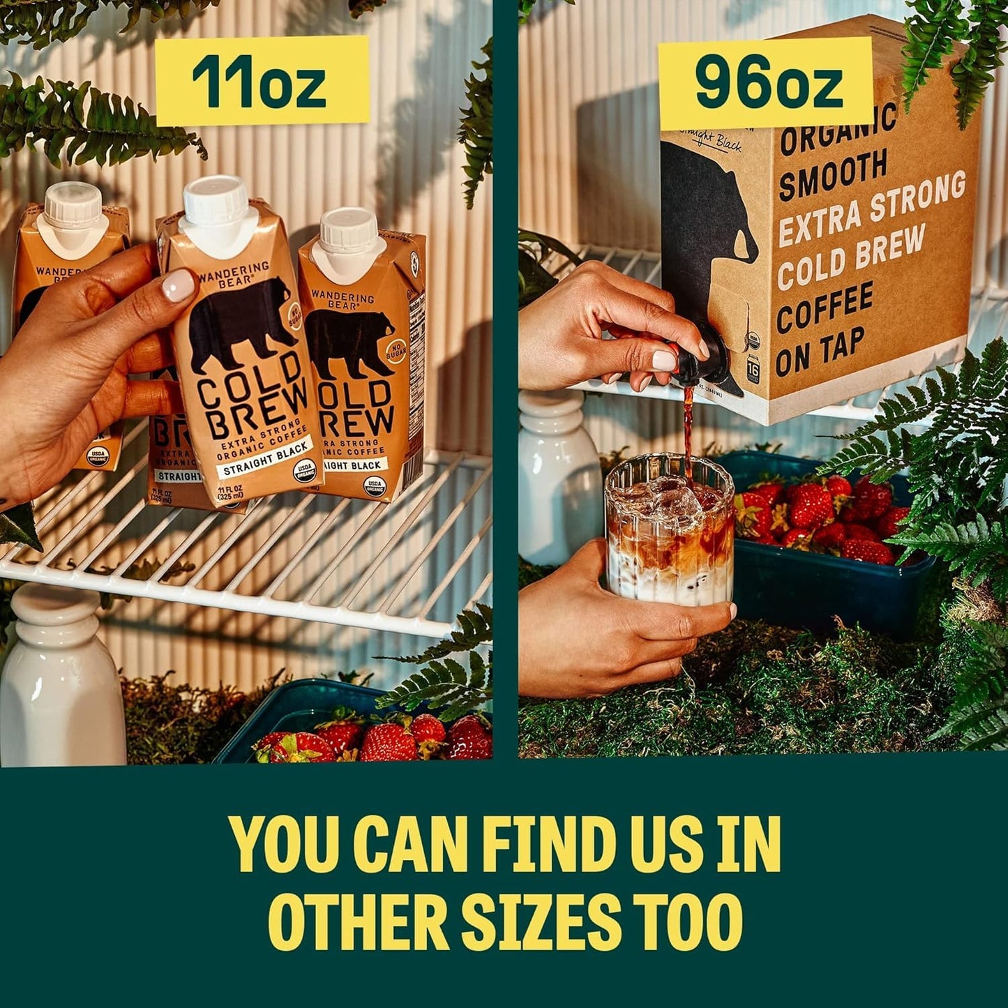 Wandering Bear Espresso Roast Organic Cold Brew Coffee - Extra Strong Bold, Smooth, No Sugar Added, Shelf-Stable, Ready to Drink, 100% Organic Iced Cold Brewed Coffee Drink - 32 fl oz, 3 pack