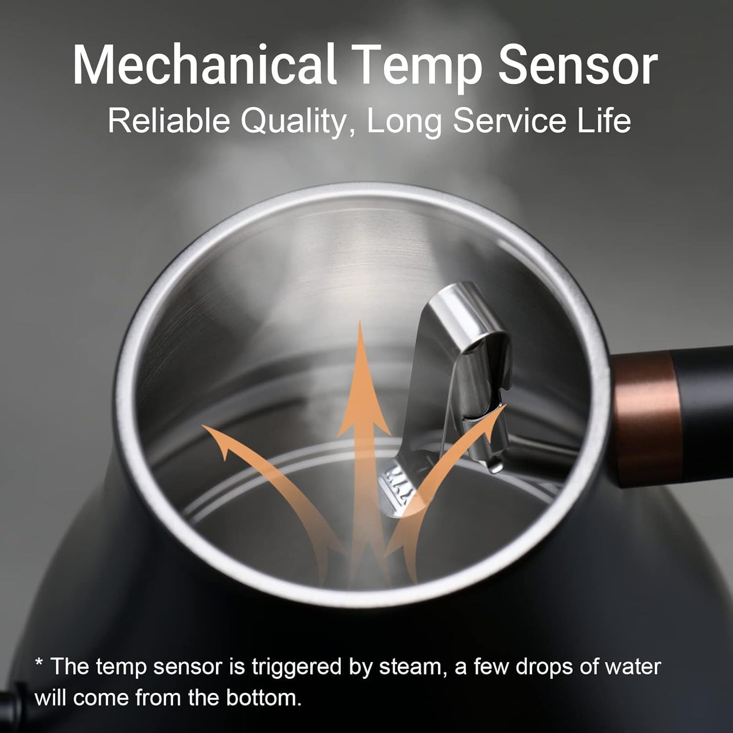 Mecity Electric Kettle Gooseneck Water Kettle Stainless Steel Tea Kettle Water Boiler Fast Heating, Auto Shut Off, 27 fl oz, 1000W, Matte Black