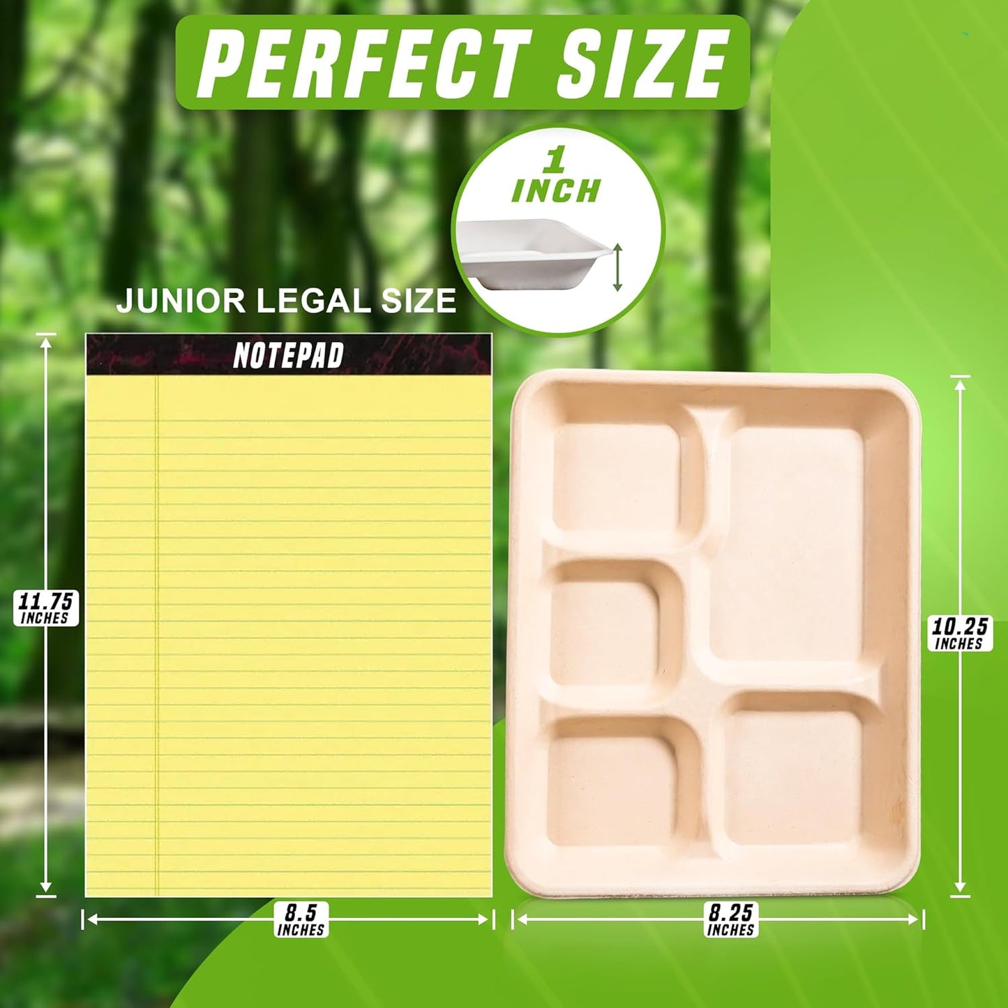 Eland Compostable Plates with Compartments, 5 Compartment Plates Disposable Heavy duty, Food trays disposable. School Lunch Tray, Plate Dividers, No PFAS, White Color- 10"x8" [400-pack]