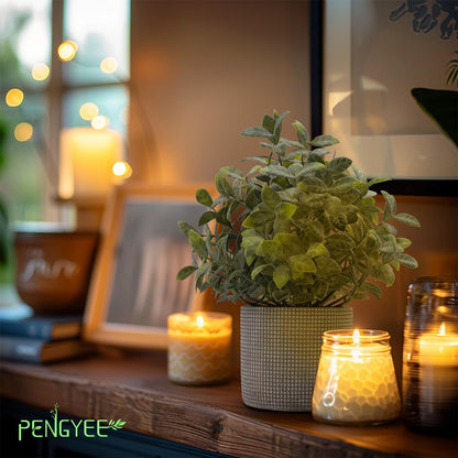 3 Pack Small Fake Plants in Farmhouse Concrete Planter, Artificial Boxwood Topiary Plants Indoor for Home Decor, Small Faux Plants for Bathroom Bedroom Shelf Office Table Kitchen Room Decor