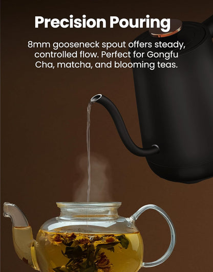 Vianté Electric Gooseneck Kettle with Precise Temperature Control. Pour Over Coffee & Tea Kettle. Boil-Dry Protection & Keep Warm Function. Stainless Steel, BPA-Free. Includes V60#2 Filters. 0.8L