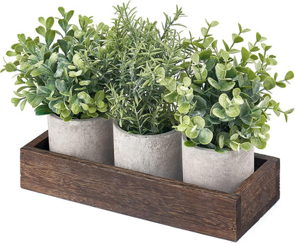Dahey 3 Pack Mini Potted Artificial Eucalyptus Fake Plants with Wood Tray Centerpiece Table Decorations, Farmhouse Pulp Flower Pots Greenery Home Decor for Coffee Table Dining Room Office Kitchen