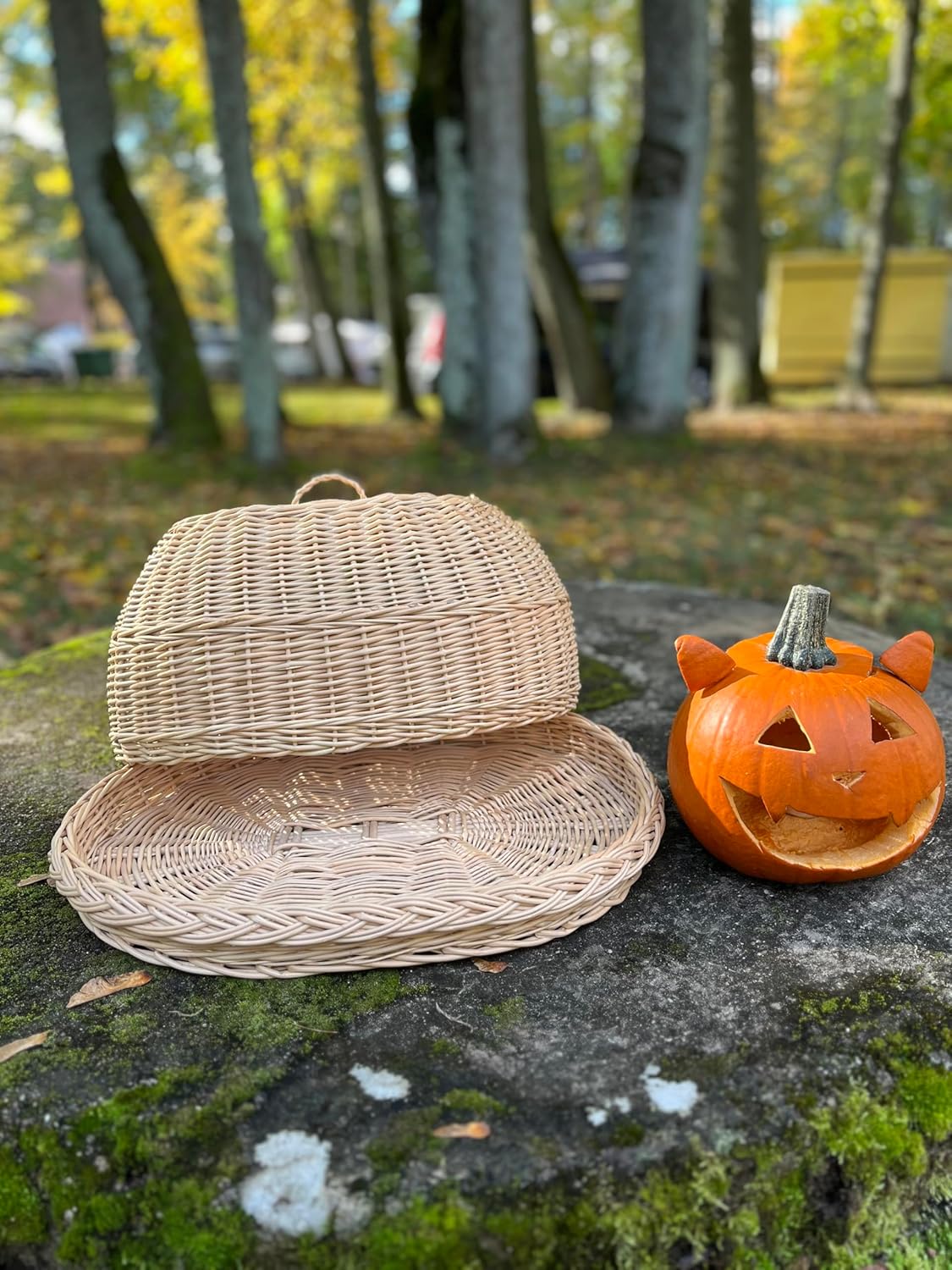 Handwoven Wicker Bread Box with Dome Lid – Large Rustic Wicker Tray for Bread & Pastry Storage – 46 x 33 x 24 cm (18.1 x 13 x 9.4 in)