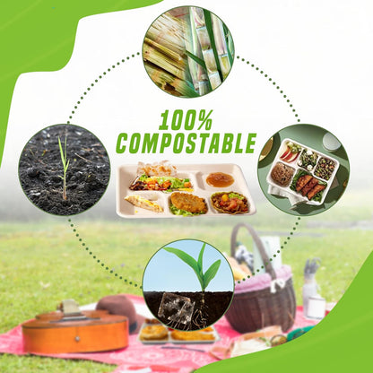 Eland Compostable Plates with Compartments, 5 Compartment Plates Disposable Heavy duty, Food trays disposable. School Lunch Tray, Plate Dividers, No PFAS, White Color- 10"x8" [400-pack]