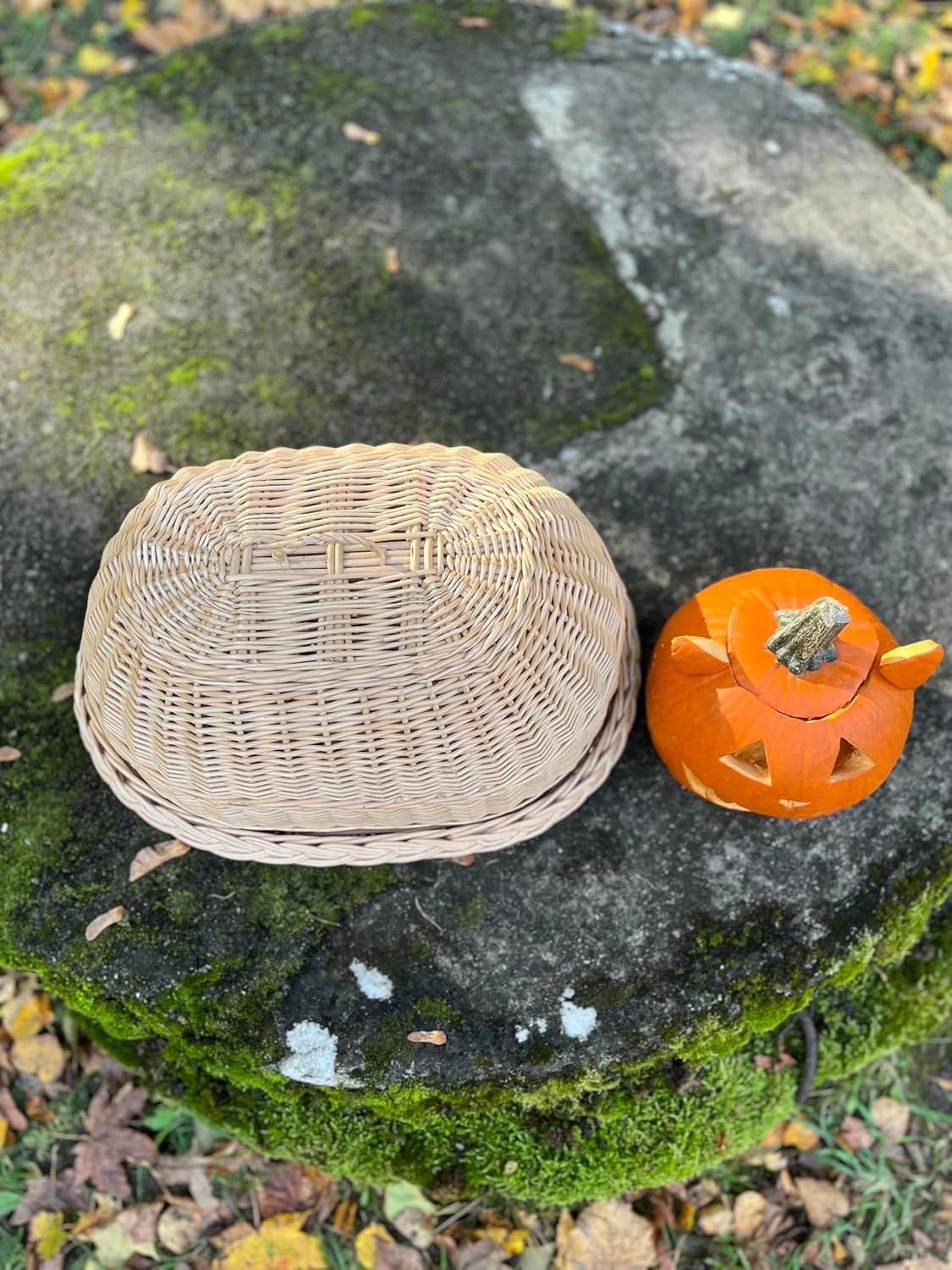 Handwoven Wicker Bread Box with Dome Lid – Large Rustic Wicker Tray for Bread & Pastry Storage – 46 x 33 x 24 cm (18.1 x 13 x 9.4 in)