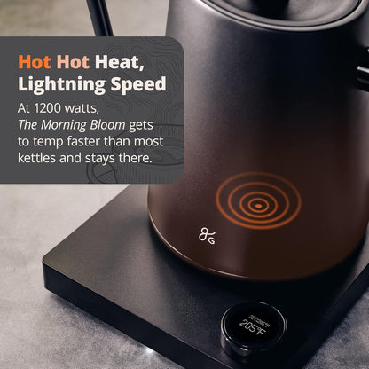 Greater Goods Electric Gooseneck Kettle, 1200W Stainless Steel with Precision Temperature Control, Fast Boil, BPA-Free, Ideal for Pour Over Coffee and Tea,1L (Onyx Black)