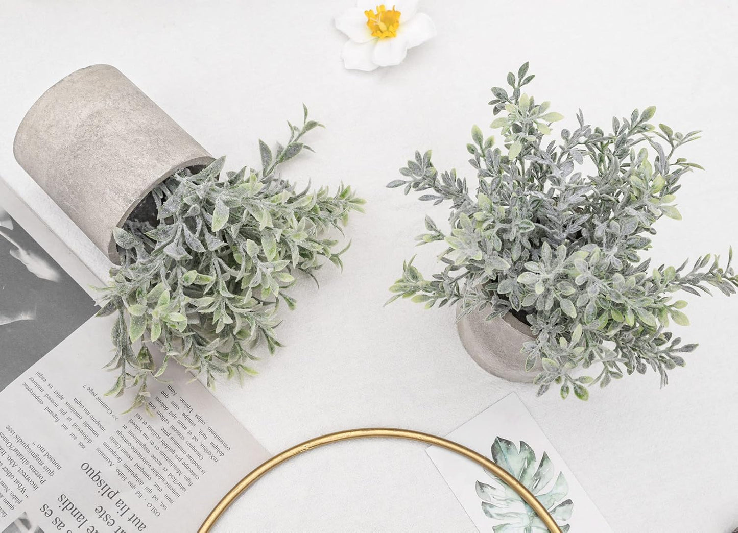 Der Rose 6pcs Mini Fake Plants Artificial Potted Plants Desk Plants for Home Office Farmhouse Bathroom Bedroom Decor