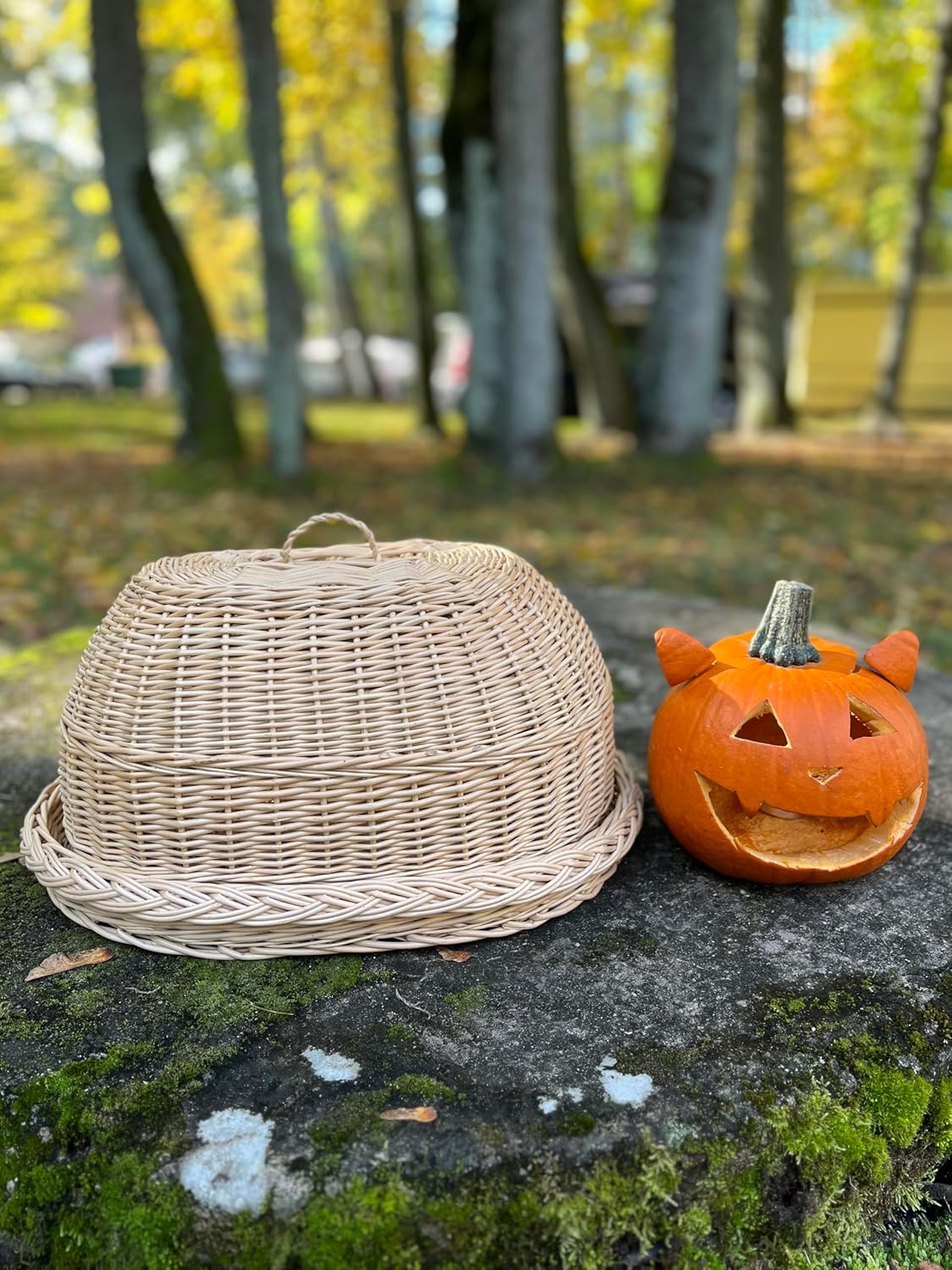 Handwoven Wicker Bread Box with Dome Lid – Large Rustic Wicker Tray for Bread & Pastry Storage – 46 x 33 x 24 cm (18.1 x 13 x 9.4 in)